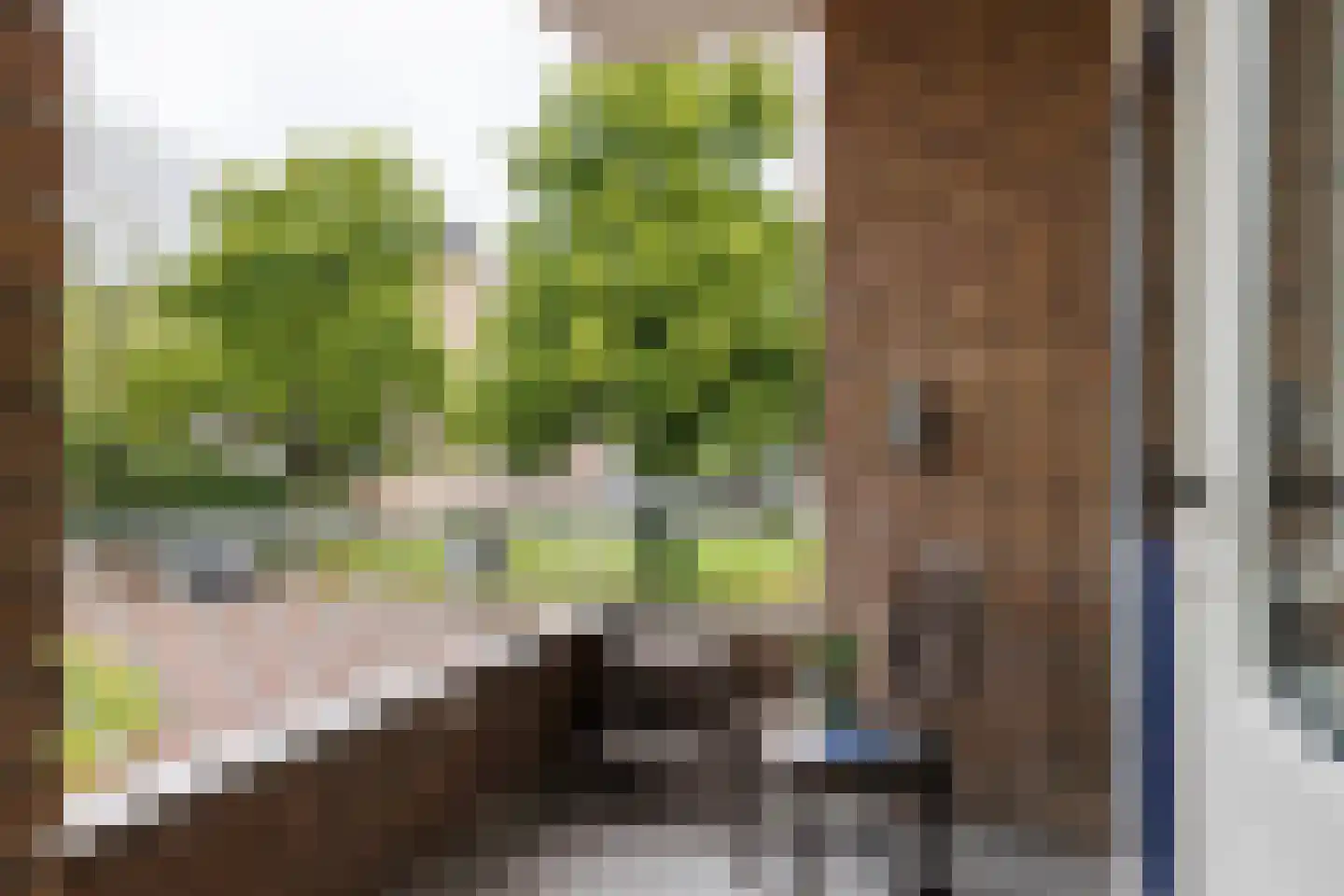 Ridderplantsoen 17 1 Utrecht thumbnail 7