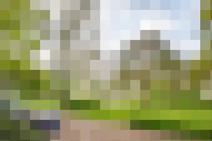 Ridderplantsoen 2 Utrecht thumbnail 16