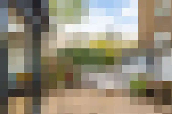 Ridderplantsoen 2 Utrecht thumbnail 17