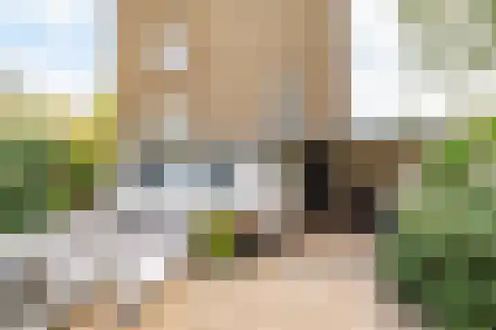 Ridderplantsoen 2 Utrecht thumbnail 18
