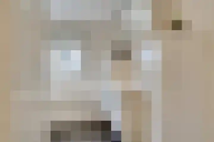 Ridderplantsoen 2 Utrecht thumbnail 31
