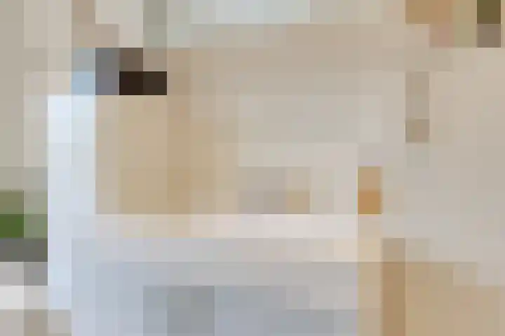 Ridderplantsoen 2 Utrecht thumbnail 33