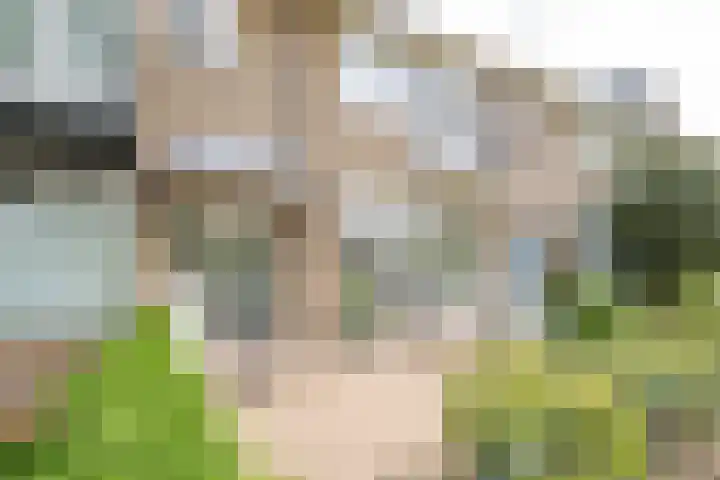 Ridderplantsoen 2 Utrecht thumbnail 43