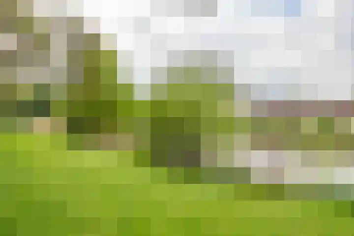 Ridderplantsoen 2 Utrecht thumbnail 47