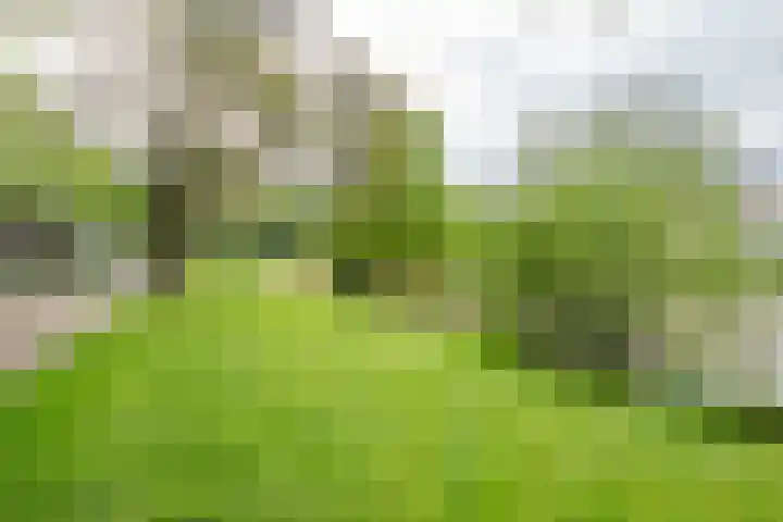 Ridderplantsoen 2 Utrecht thumbnail 48
