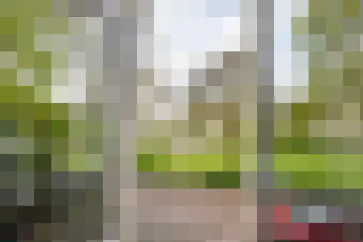 Ridderplantsoen 2 Utrecht thumbnail 5