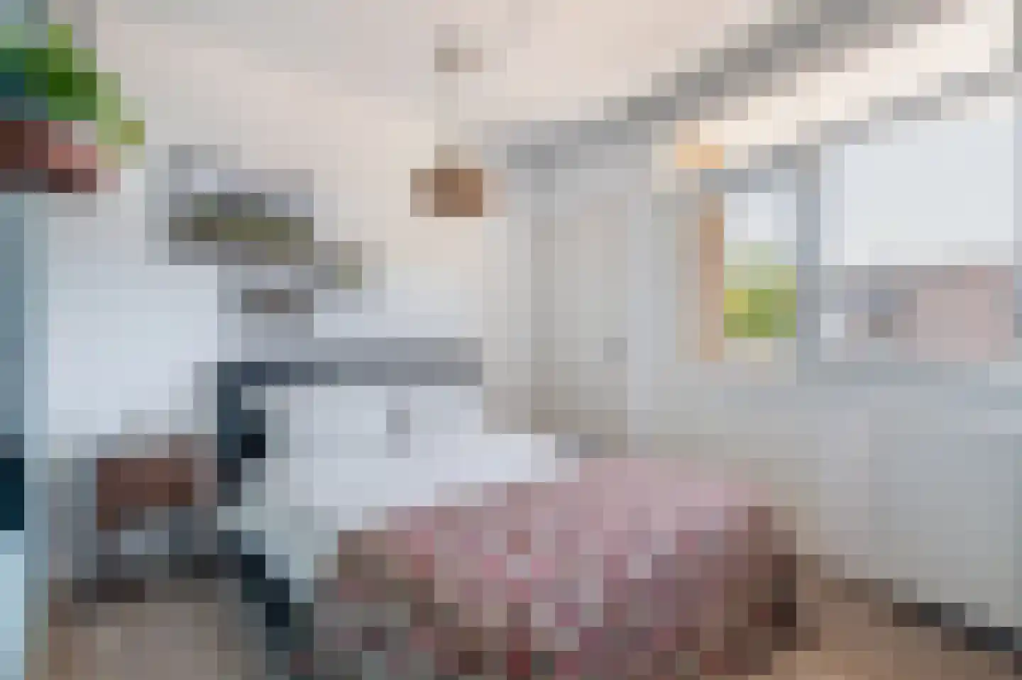 Ridderplantsoen 20 1 Utrecht thumbnail 26