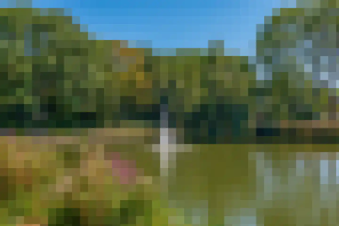 Ridderplantsoen 20 1 Utrecht thumbnail 39