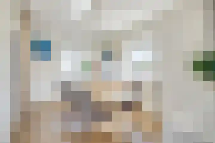 Ridderplantsoen 21 2 Utrecht thumbnail 12