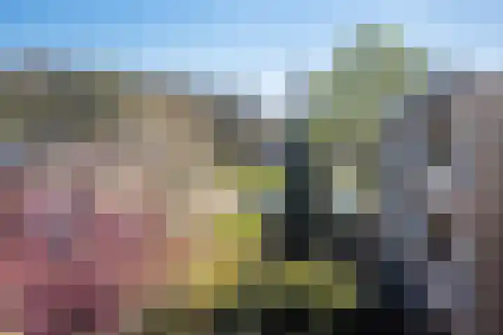Ridderplantsoen 21 2 Utrecht thumbnail 14