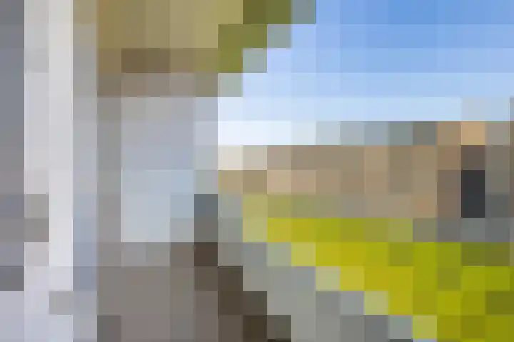 Ridderplantsoen 21 2 Utrecht thumbnail 15