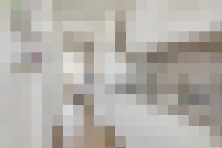 Ridderplantsoen 21 2 Utrecht thumbnail 18