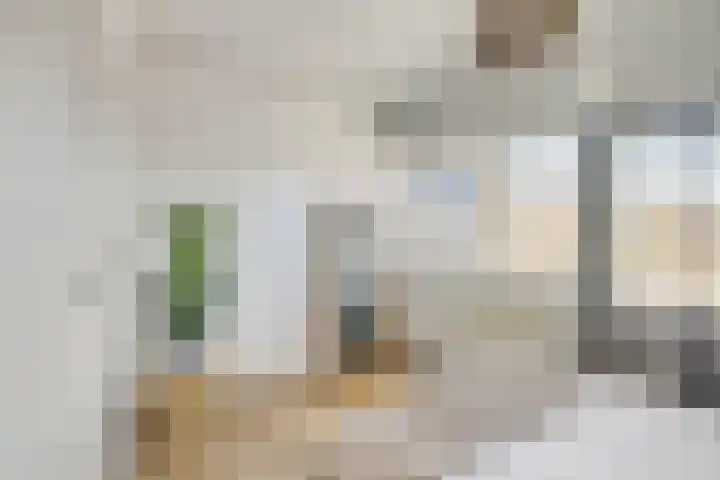 Ridderplantsoen 21 2 Utrecht thumbnail 20