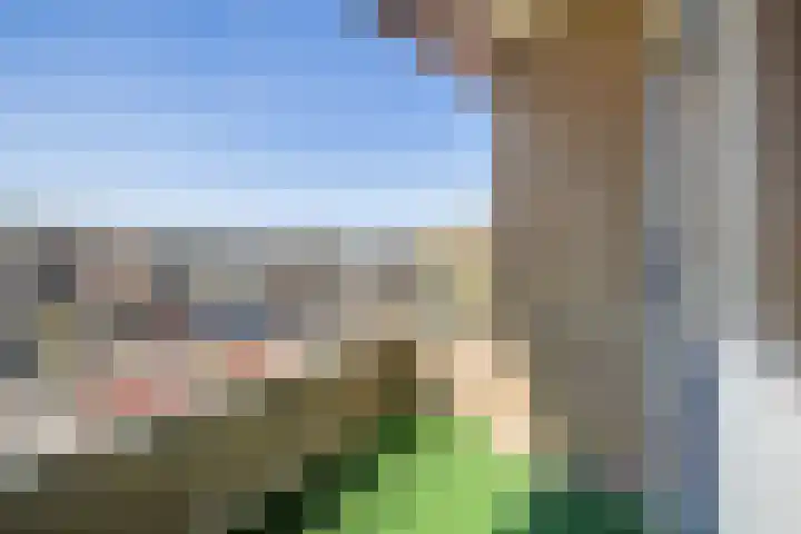 Ridderplantsoen 21 2 Utrecht thumbnail 22