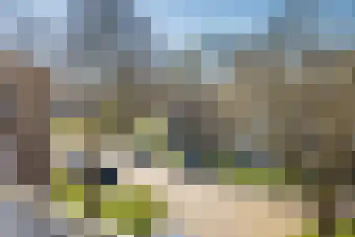 Ridderplantsoen 21 2 Utrecht thumbnail 23