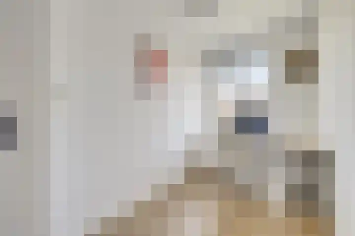 Ridderplantsoen 21 2 Utrecht thumbnail 27