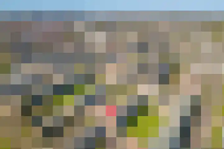 Ridderplantsoen 21 2 Utrecht thumbnail 32