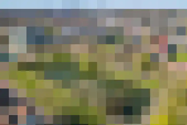 Ridderplantsoen 21 2 Utrecht thumbnail 33