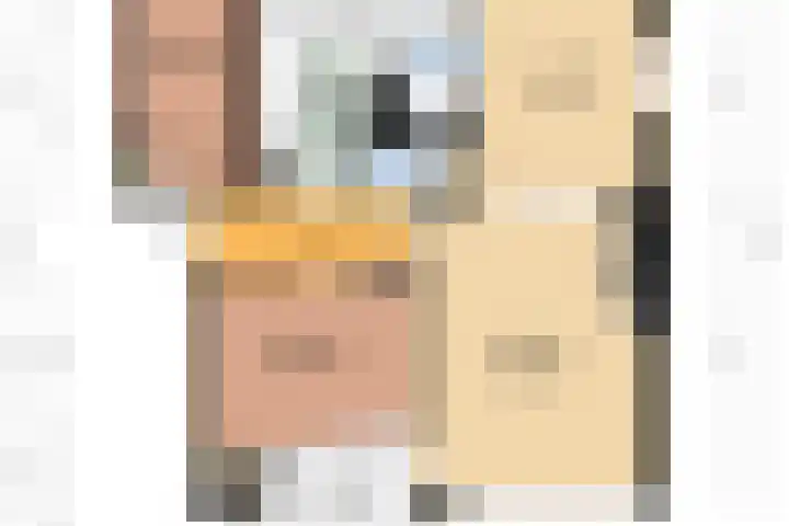 Ridderplantsoen 21 2 Utrecht thumbnail 41