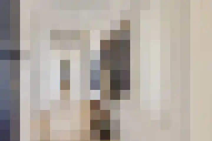 Ridderplantsoen 21 2 Utrecht thumbnail 5