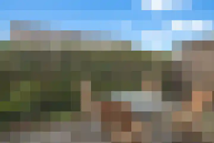 Ridderplantsoen 21 Utrecht thumbnail 11