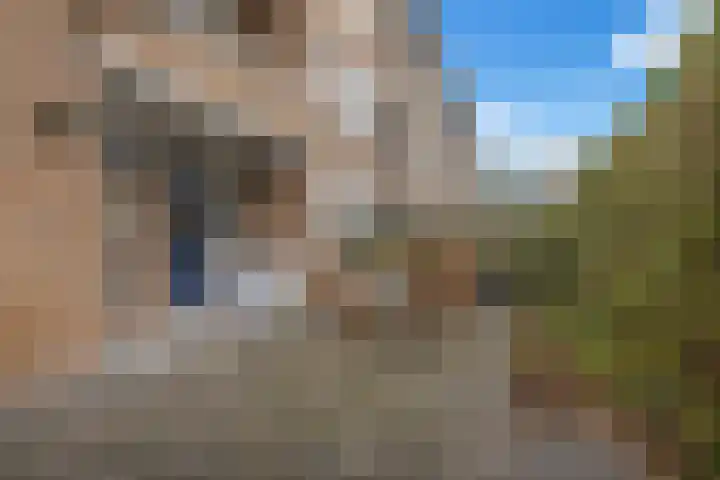 Ridderplantsoen 21 Utrecht thumbnail 13