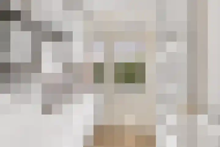 Ridderplantsoen 21 Utrecht thumbnail 14