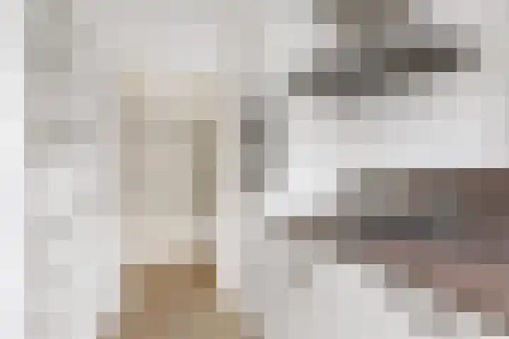 Ridderplantsoen 21 Utrecht thumbnail 16