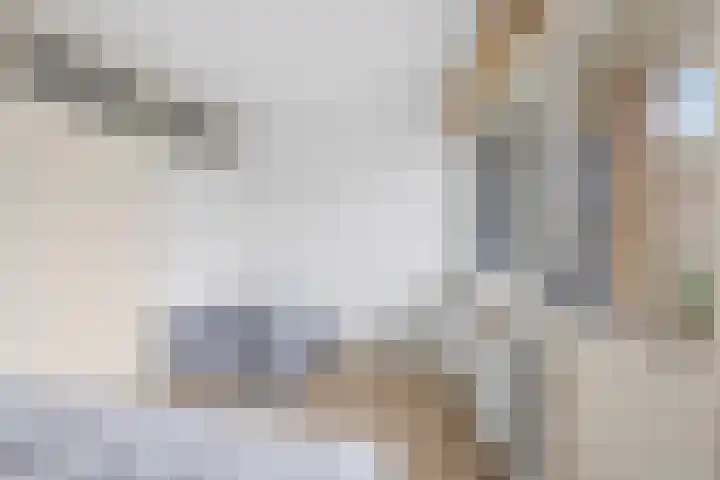 Ridderplantsoen 21 Utrecht thumbnail 19