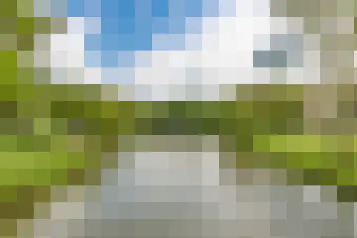 Ridderplantsoen 21 Utrecht thumbnail 31