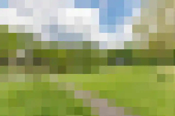Ridderplantsoen 21 Utrecht thumbnail 32