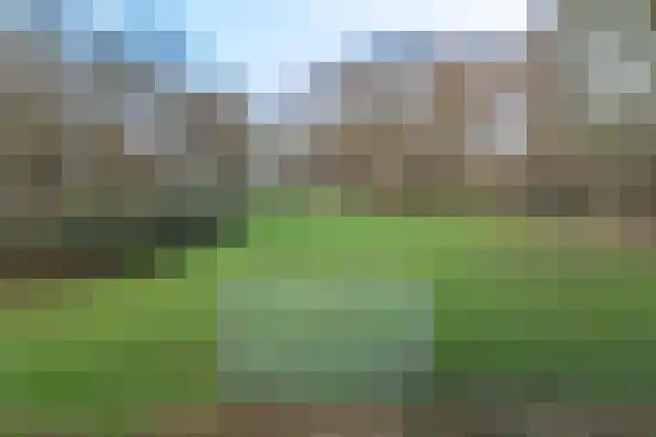 Ridderplantsoen 21 Utrecht thumbnail 33