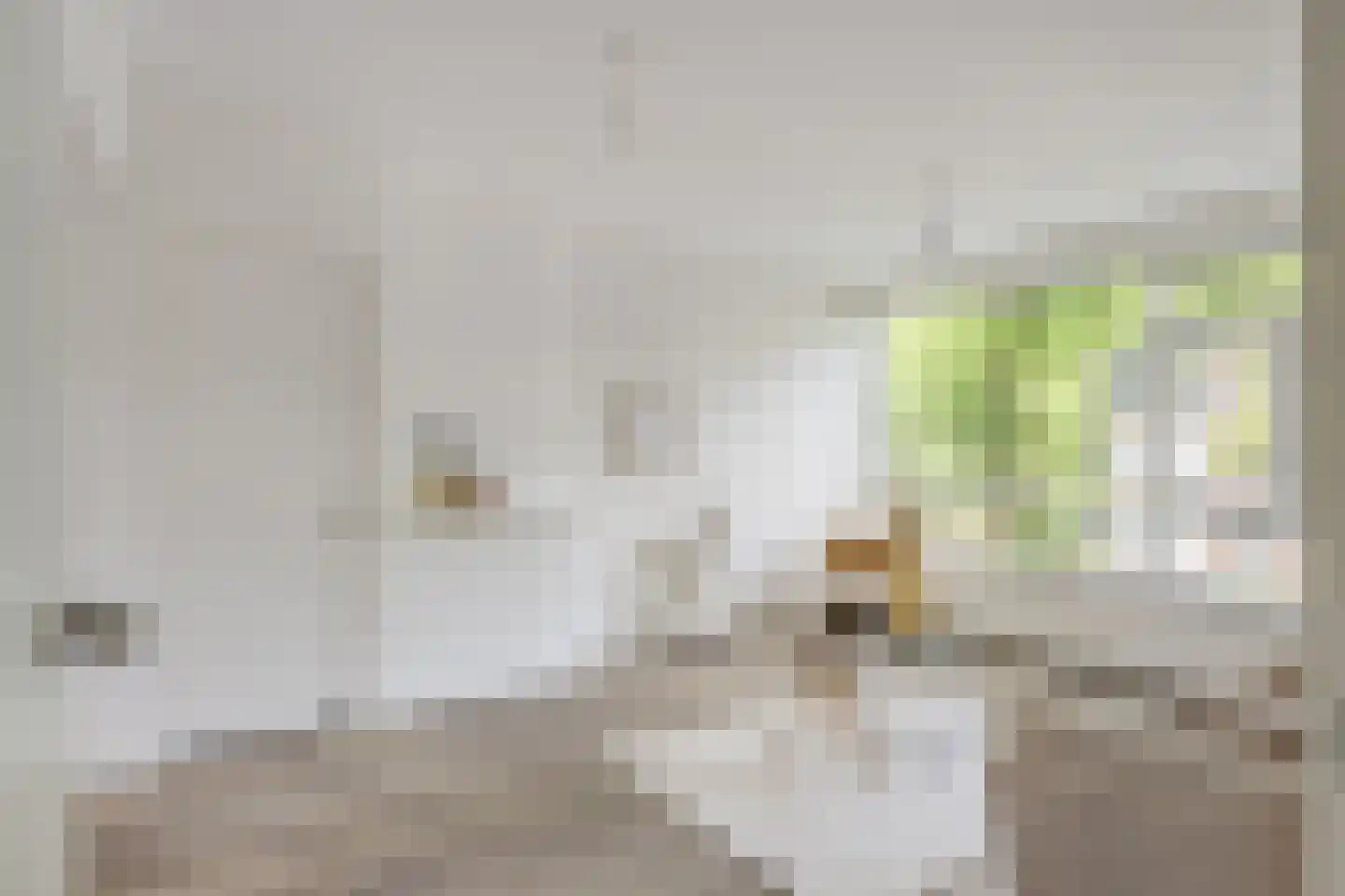 Ridderplantsoen 23 1 Utrecht thumbnail 11