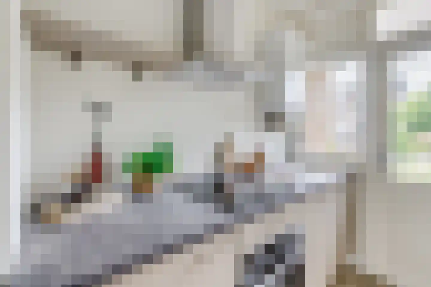 Ridderplantsoen 23 1 Utrecht thumbnail 17
