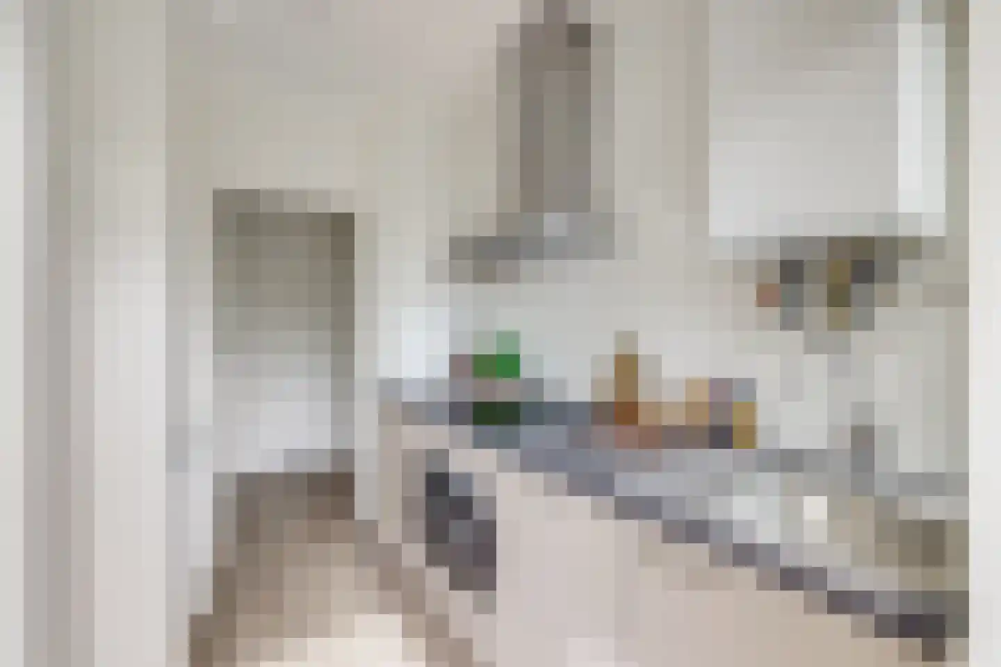 Ridderplantsoen 23 1 Utrecht thumbnail 18