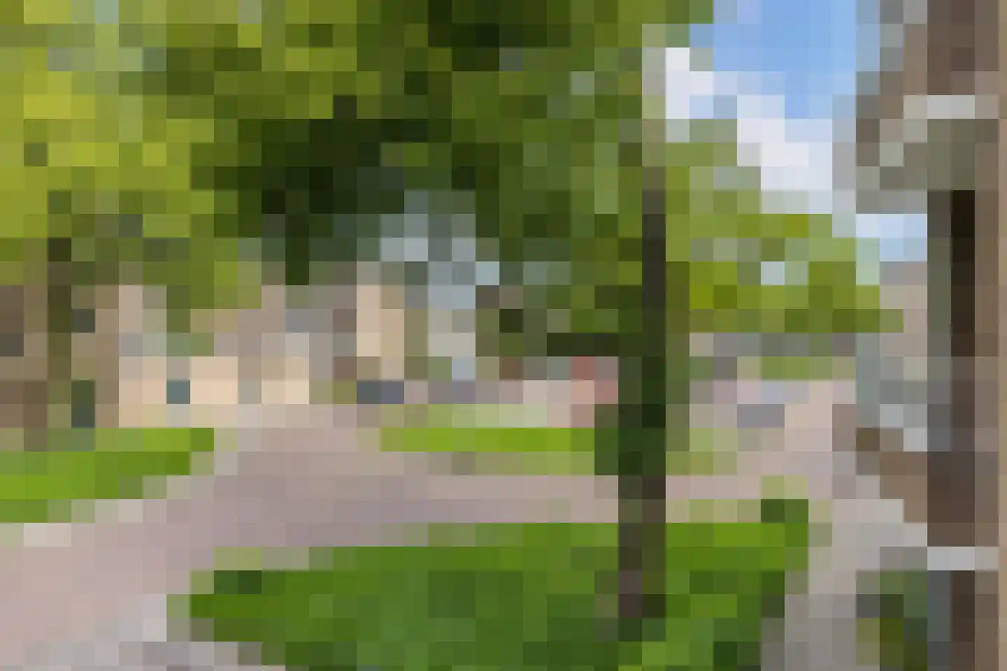 Ridderplantsoen 23 1 Utrecht thumbnail 23