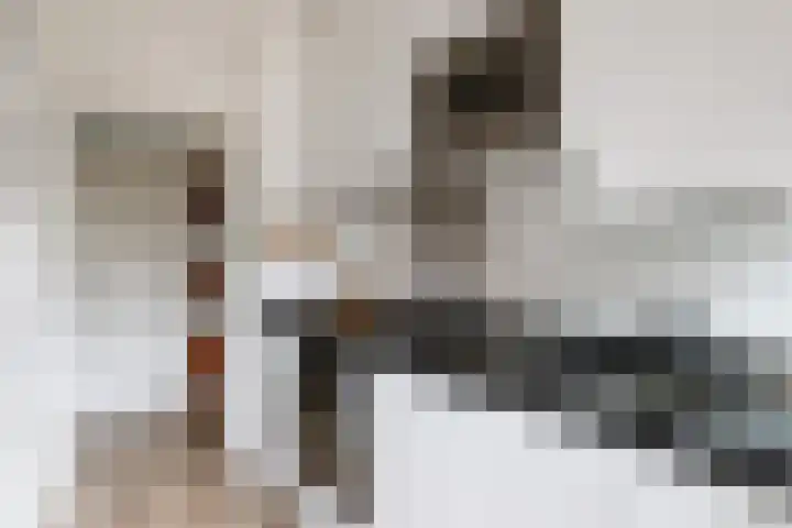 Ridderplantsoen 23 Utrecht thumbnail 12
