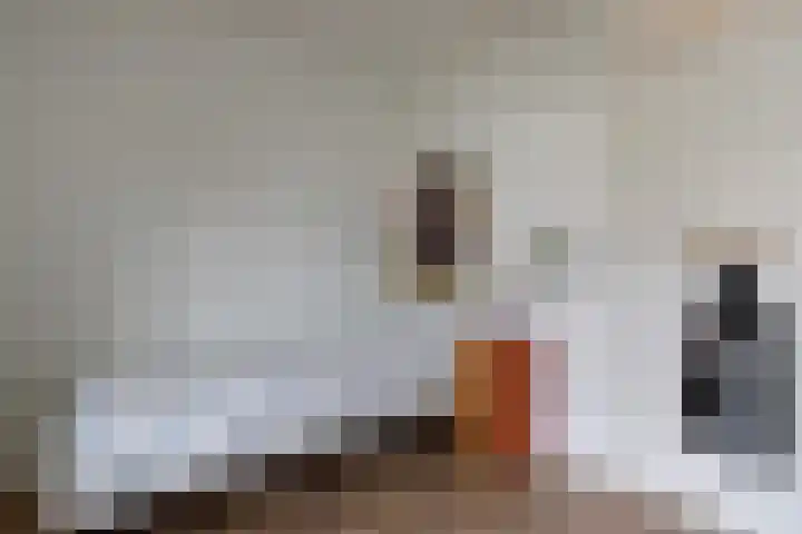 Ridderplantsoen 23 Utrecht thumbnail 15