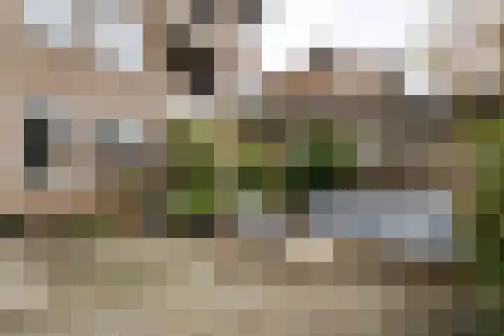 Ridderplantsoen 23 Utrecht thumbnail 20