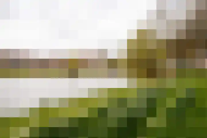 Ridderplantsoen 23 Utrecht thumbnail 26