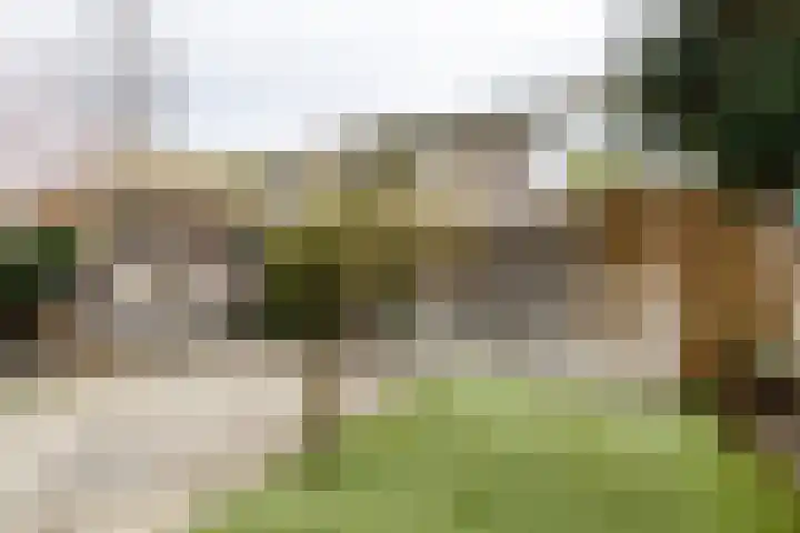 Ridderplantsoen 23 Utrecht thumbnail 5