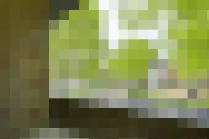 Ridderplantsoen 24 2 Utrecht thumbnail 10