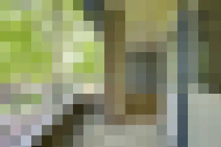 Ridderplantsoen 24 2 Utrecht thumbnail 11