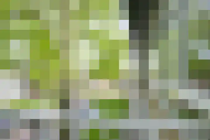 Ridderplantsoen 24 2 Utrecht thumbnail 12