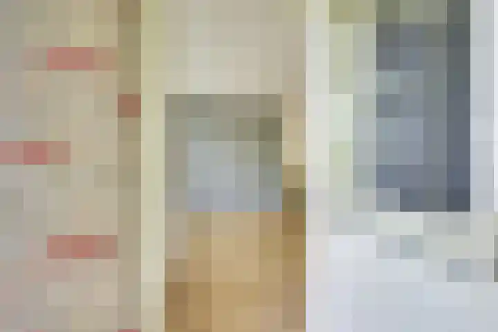 Ridderplantsoen 24 2 Utrecht thumbnail 13