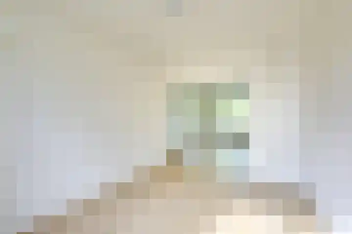 Ridderplantsoen 24 2 Utrecht thumbnail 15