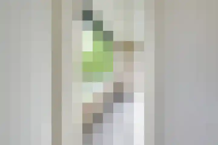 Ridderplantsoen 24 2 Utrecht thumbnail 19