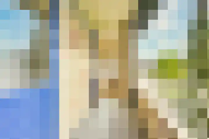 Ridderplantsoen 24 2 Utrecht thumbnail 20