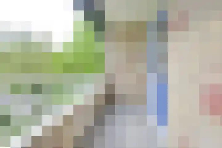 Ridderplantsoen 24 2 Utrecht thumbnail 21