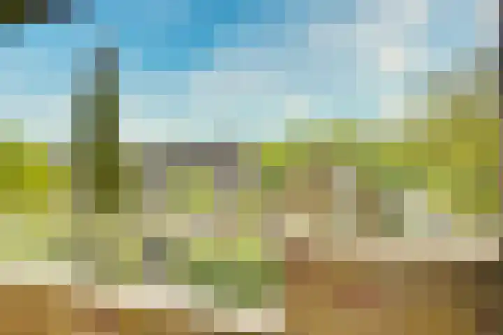 Ridderplantsoen 24 2 Utrecht thumbnail 22